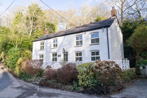 Rose in Vale Cottage