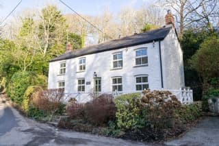 Rose in Vale Cottage