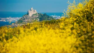 Nori's Nest, Shepherds Hut, Croft Hooper