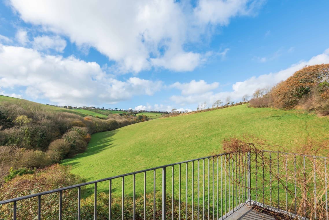 Little Phoenix photo 3