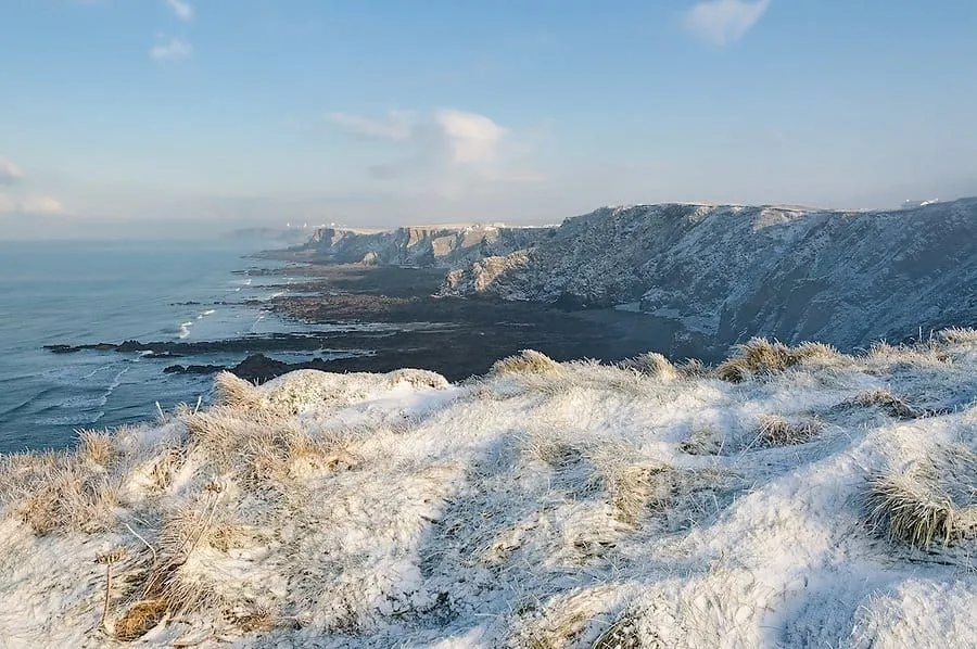 The Best Walks in Cornwall: Coast Path, Moor, and Woodland