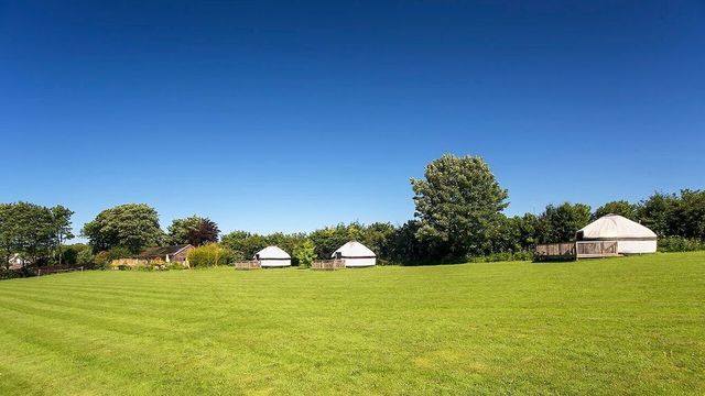 Elderflower – Holiday Glamping in Liskeard Elderflower – Holiday Glamping in Liskeard
