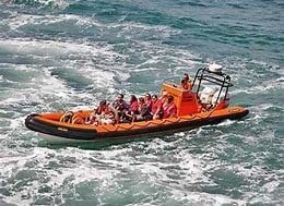 Image result for padstow boat trip