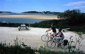 Image result for padstow camel trail cycling