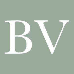 Logo with letters B and V on green background.